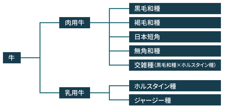 日本で飼育されている主な牛の分類